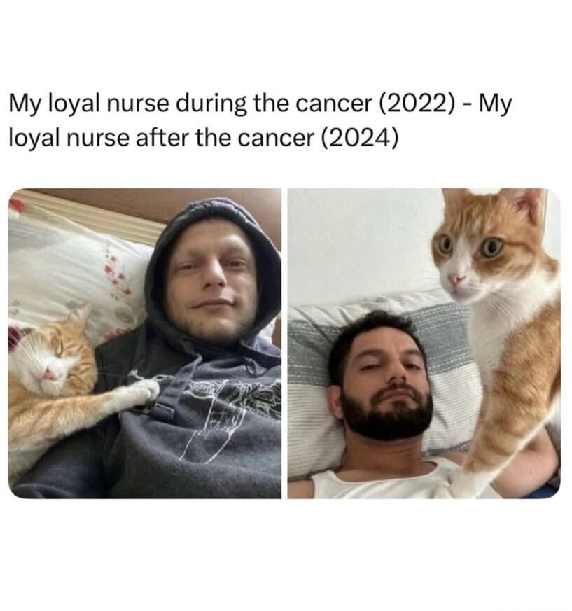 My loyal nurse during the cancer (2022) - My loyal nurse after the cancer (2024)