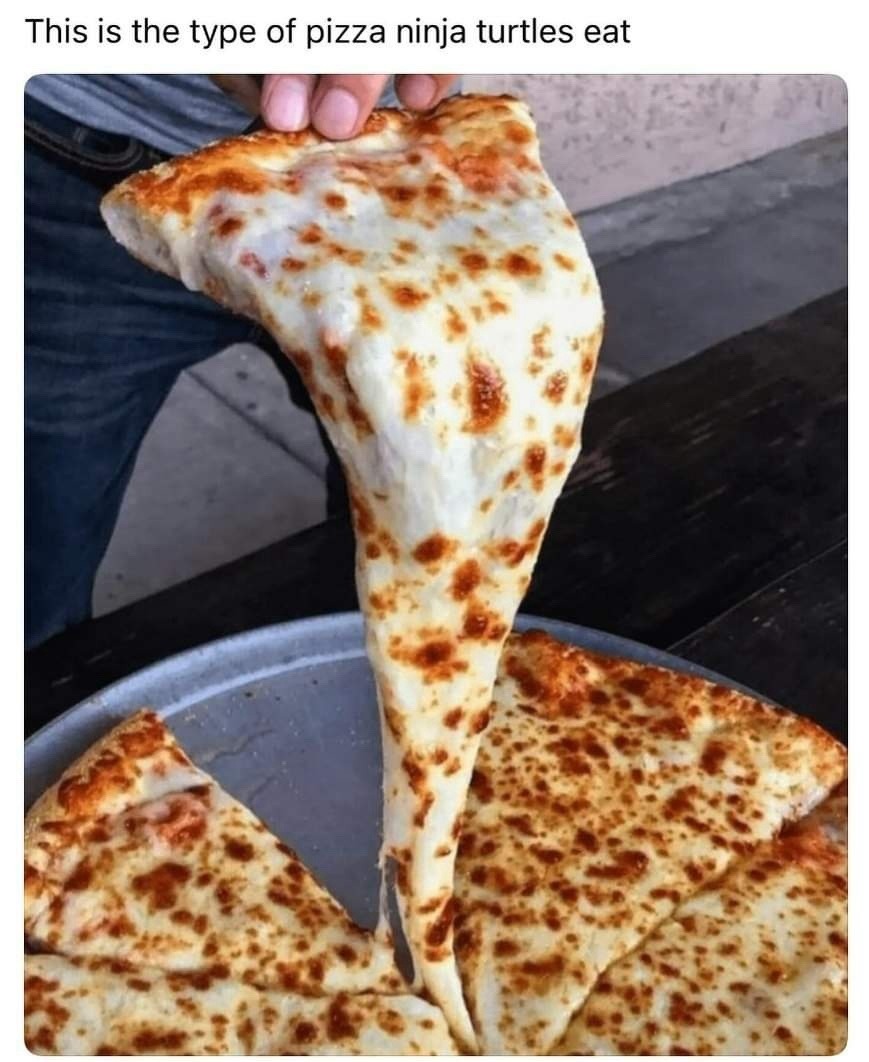 This is the type of pizza ninja turtles eat