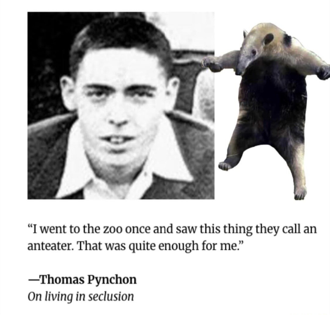 I went to the zoo once and saw this thing they call an anteater. That was quite enough for me. —Thomas Pynchon On living in seclusion