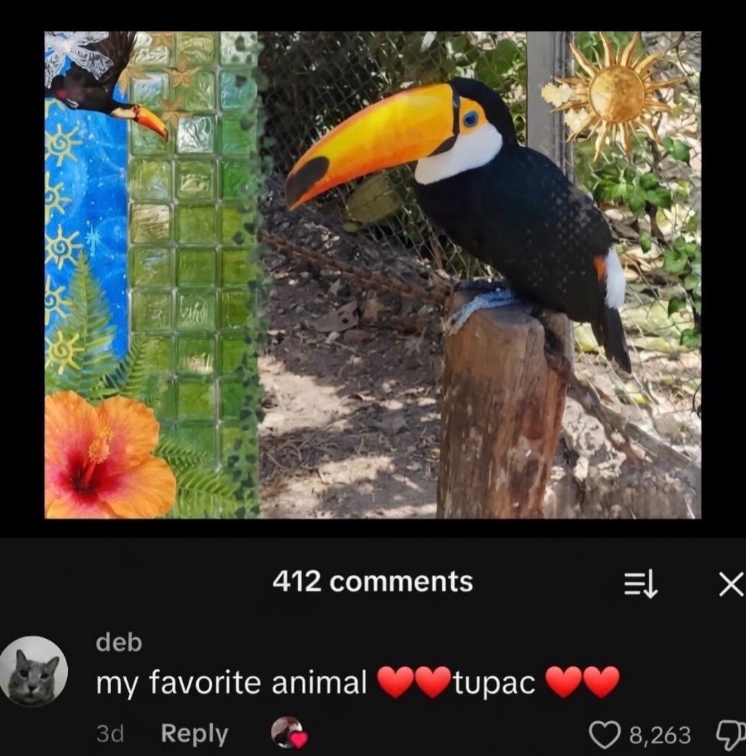 my favorite animal tupac