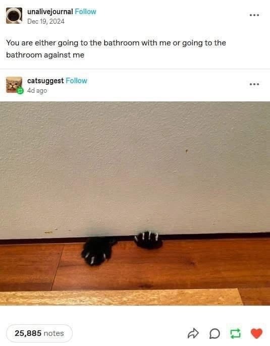 You are either going to the bathroom with me or going to the bathroom against me