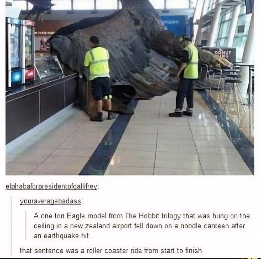 A one ton Eagle model from The Hobbit trilogy that was hung on the ceiling in a new zealand airport fell down on a noodle canteen after an earthquake hit. that sentence was a roller coaster ride from start to finish