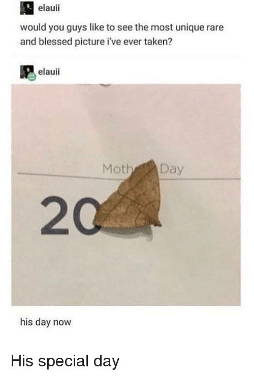 elauii would you guys like to see the most unique rare and blessed picture i've ever taken? elauii Moth Day 20 his day now His special day