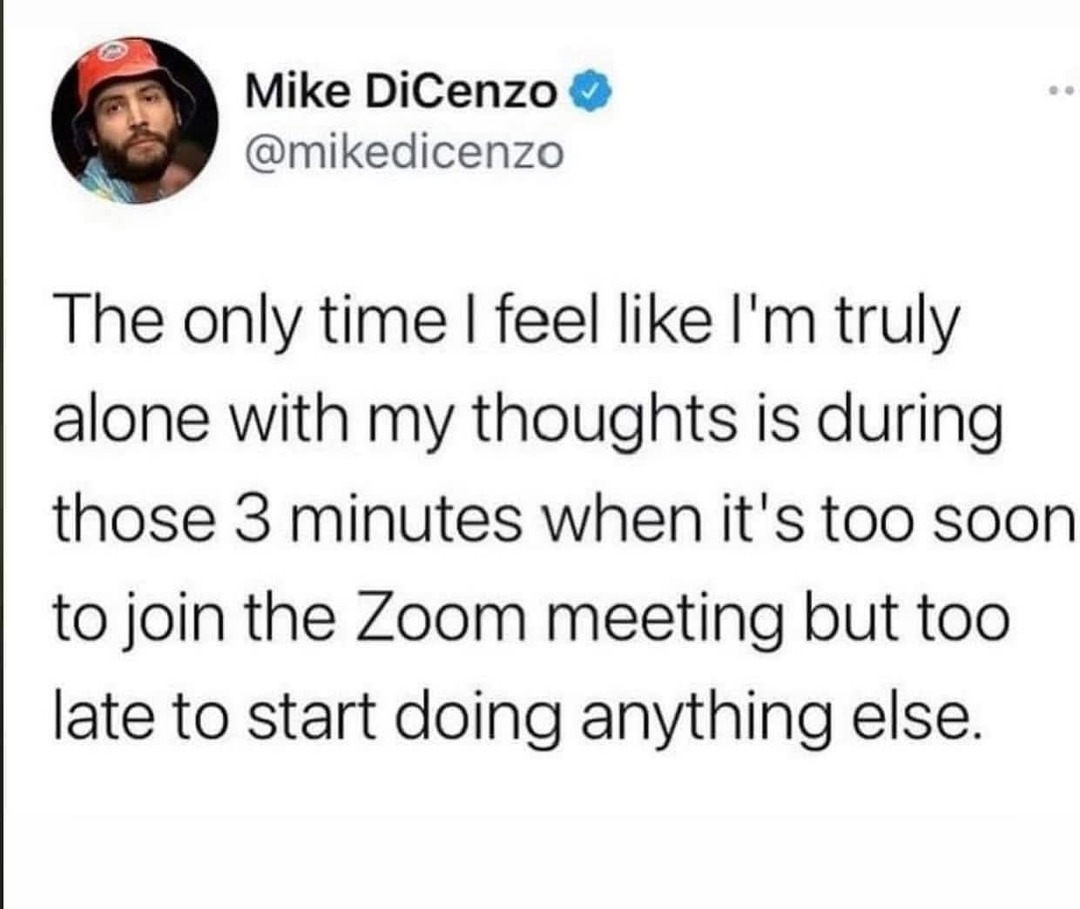 Mike DiCenzo @mikedicenzo The only time I feel like I'm truly alone with my thoughts is during those 3 minutes when it's too soon to join the Zoom meeting but too late to start doing anything else.