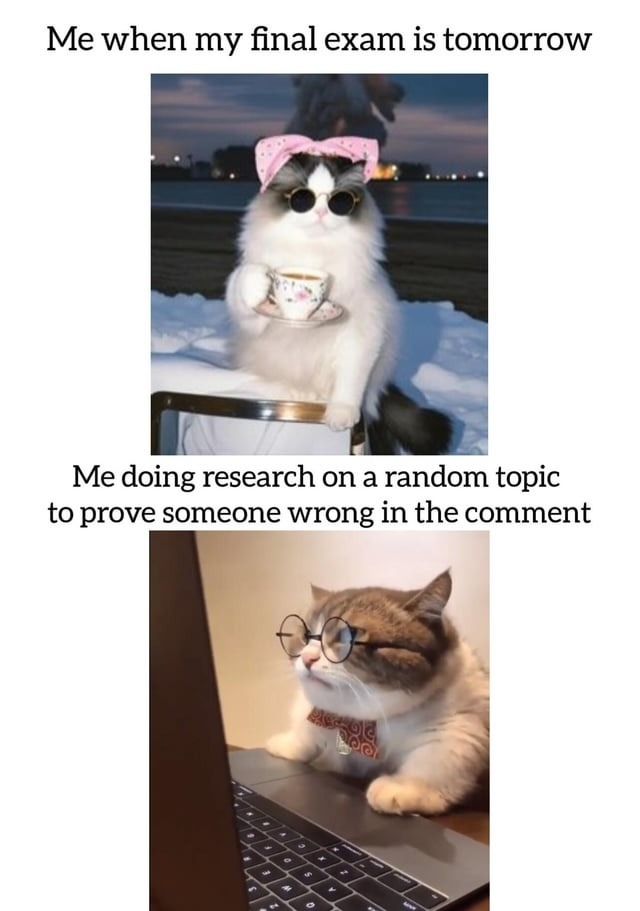 Me when my final exam is tomorrow Me doing research on a random topic to prove someone wrong in the comment