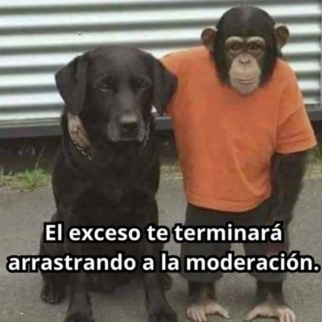 El exceso te terminará arrastrando a la moderación.