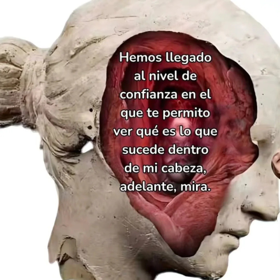 Hemos llegado al nivel de confianza en el que te permito ver qué es lo que sucede dentro de mi cabeza, adelante, mira.