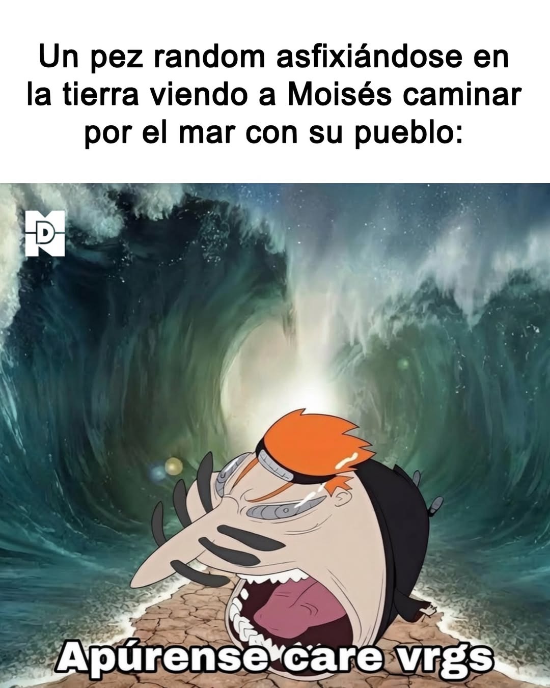 Un pez random asfixiándose en la tierra viendo a Moisés caminar por el mar con su pueblo: Apúrense care vrgs