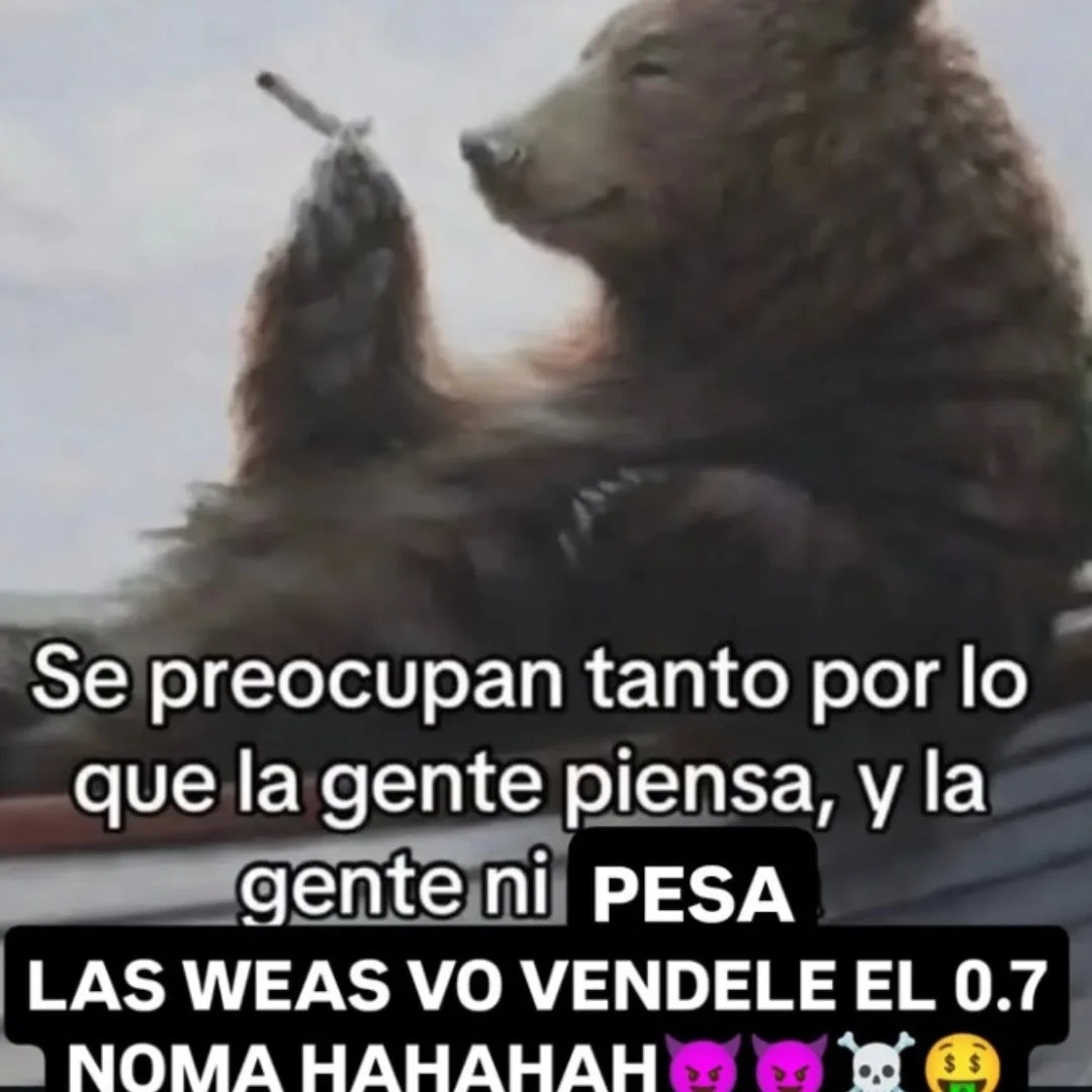 Se preocupan tanto por lo que la gente piensa, y la gente ni PESA LAS WEAS VO VENDELE EL 0.7 NOMA HAHAHAH