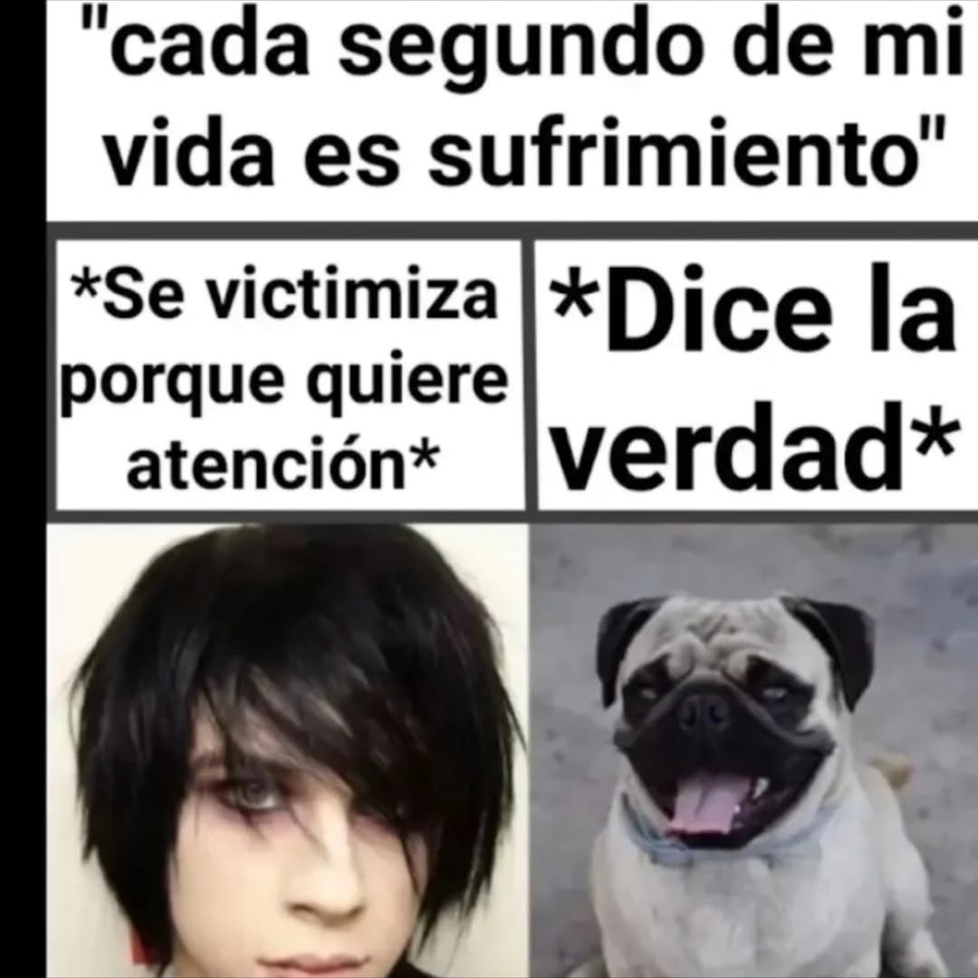 Cada segundo de mi vida es sufrimiento. Se victimiza porque quiere atención. Dice la verdad.