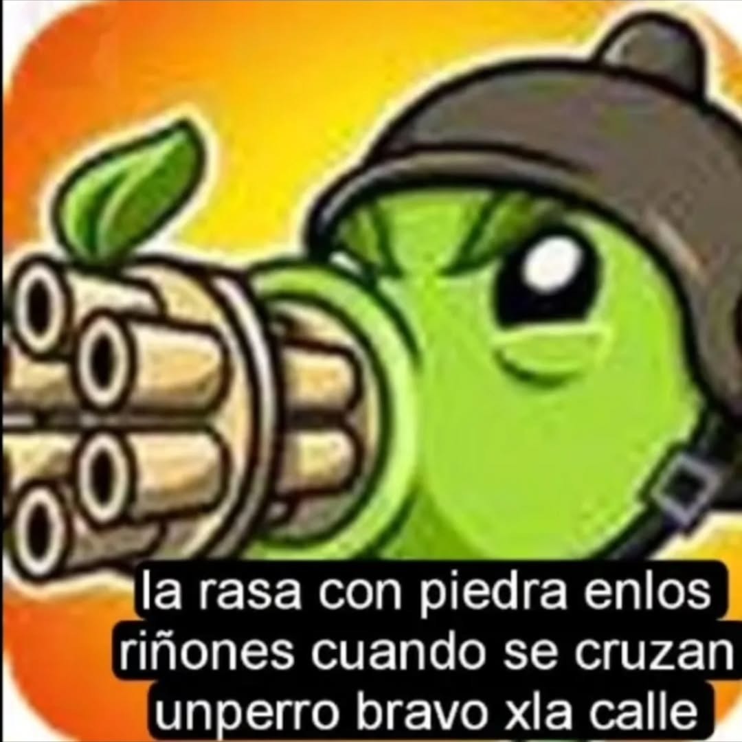la rasa con piedra enlos riñones cuando se cruzan unperro bravo xla calle