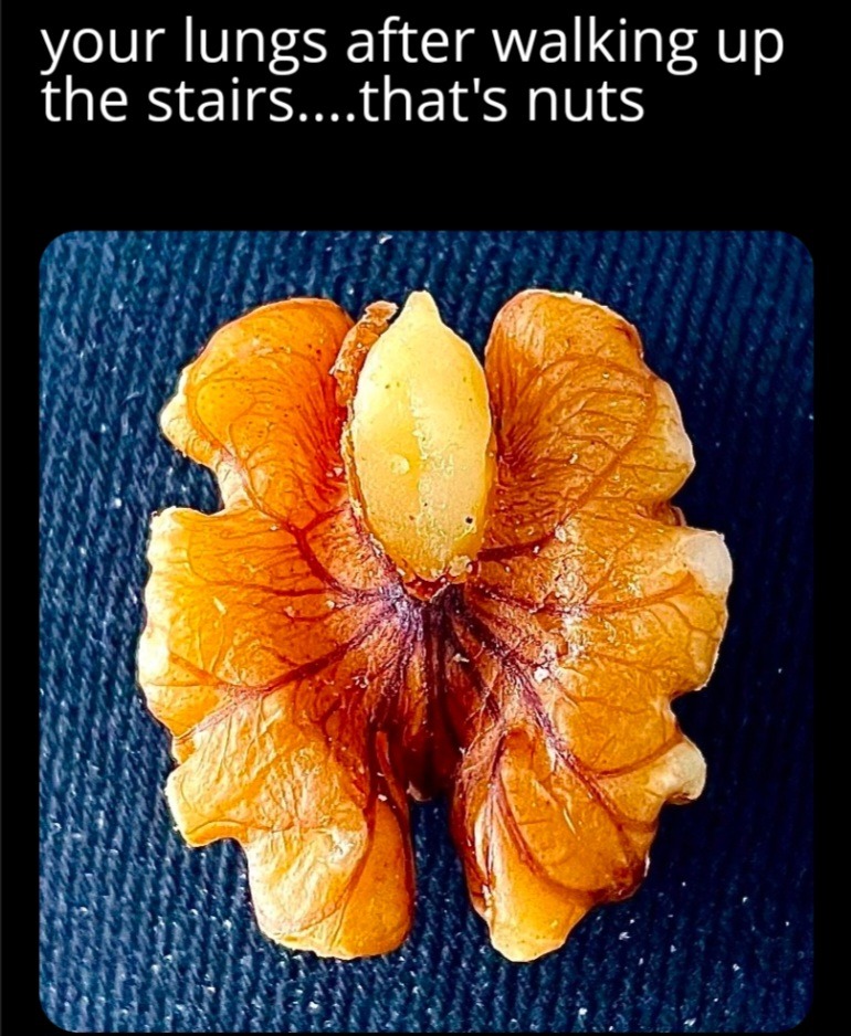 your lungs after walking up the stairs....that's nuts