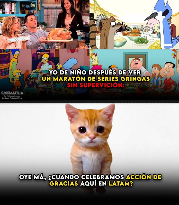 YO DE NIÑO DESPUÉS DE VER UN MARATÓN DE SERIES GRINGAS SIN SUPERVISIÓN: OYE MÁ, ¿CUÁNDO CELEBRAMOS ACCIÓN DE GRACIAS AQUÍ EN LATAM?
