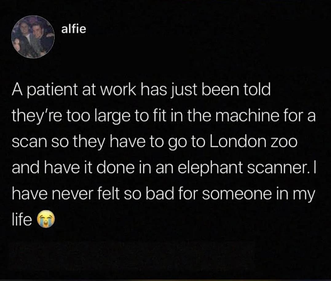 A patient at work has just been told they're too large to fit in the machine for a scan so they have to go to London zoo and have it done in an elephant scanner. I have never felt so bad for someone in my life.