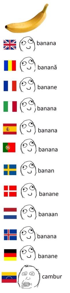Plátano. Reino Unido: banana. Rumanía: banană. Francia: banane. Italia: banana. España: banana. Portugal: banana. Suecia: banan. Dinamarca: banane. Países Bajos: banaan. Islandia: banana. Alemania: banane. Venezuela: cambur.