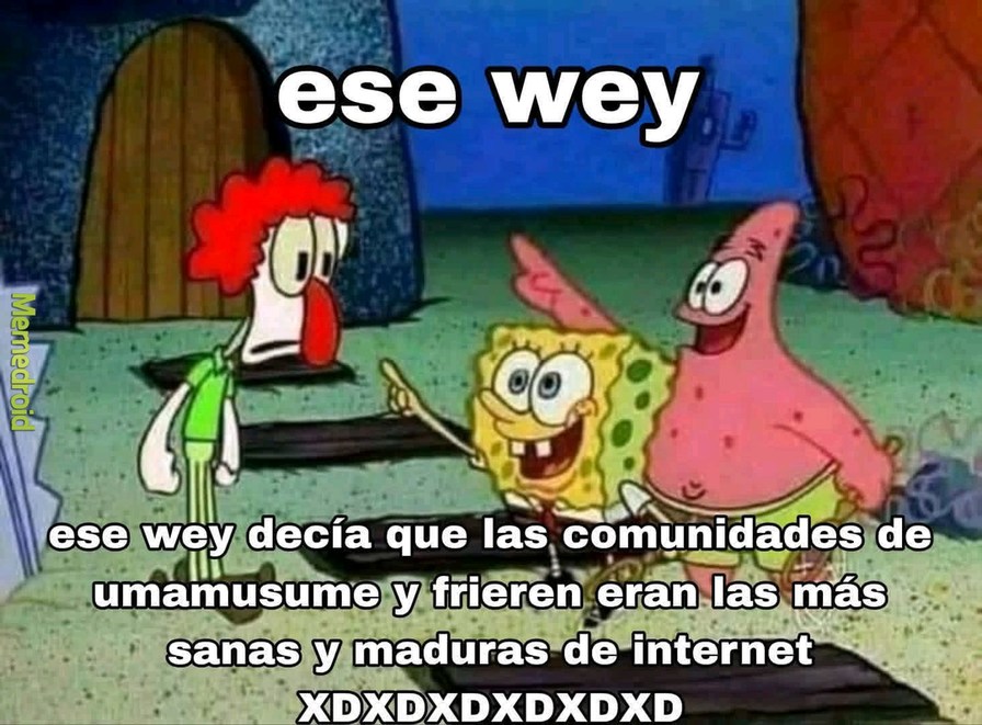 ese wey ese wey decía que las comunidades de umamusume y frieren eran las más sanas y maduras de internet XDXDXDXDXD