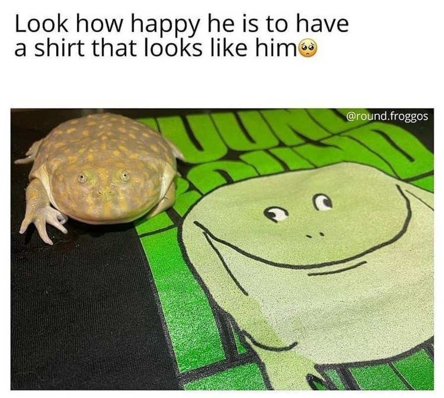 Look how happy he is to have a shirt that looks like him 🥺