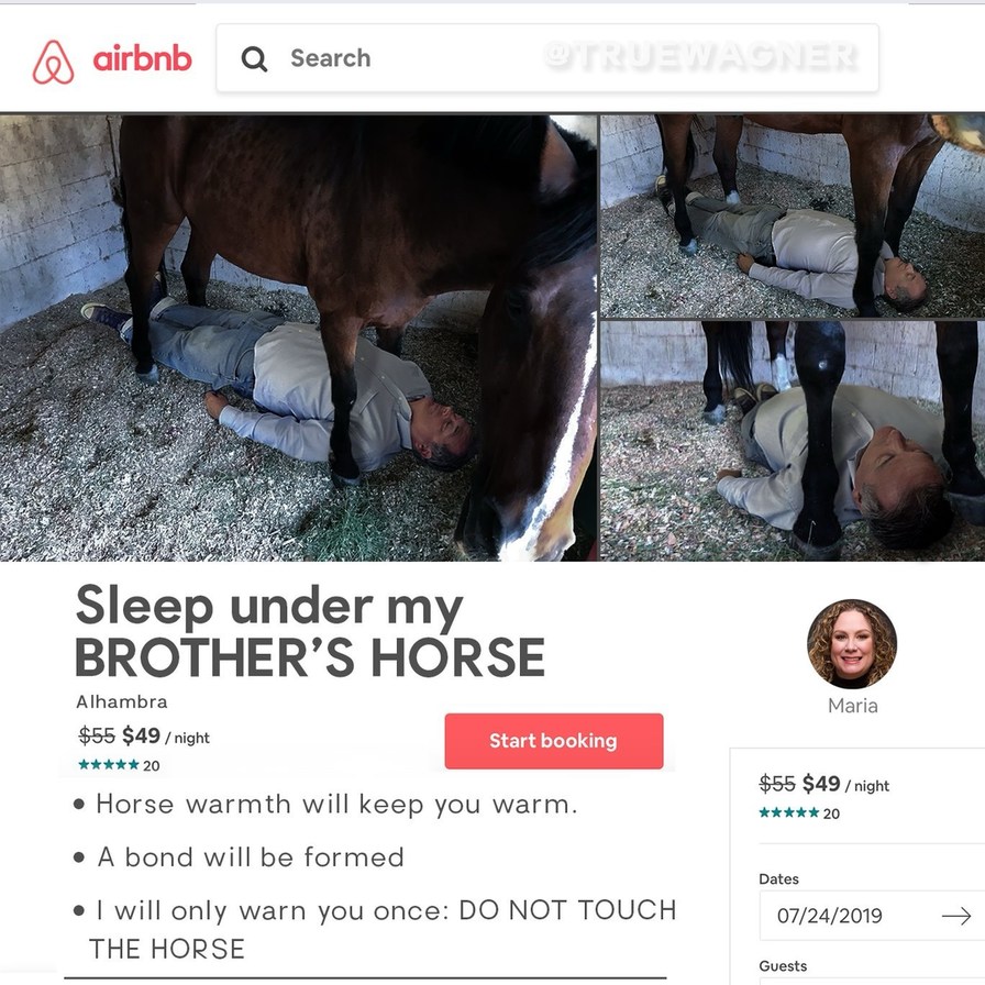 Airbnb Search @TRUEWAGNER Sleep under my BROTHER'S HORSE Alhambra $55 $49 / night Start booking Horse warmth will keep you warm. A bond will be formed I will only warn you once: DO NOT TOUCH THE HORSE Maria $55 $49 / night 20 Dates 07/24/2019 Guests