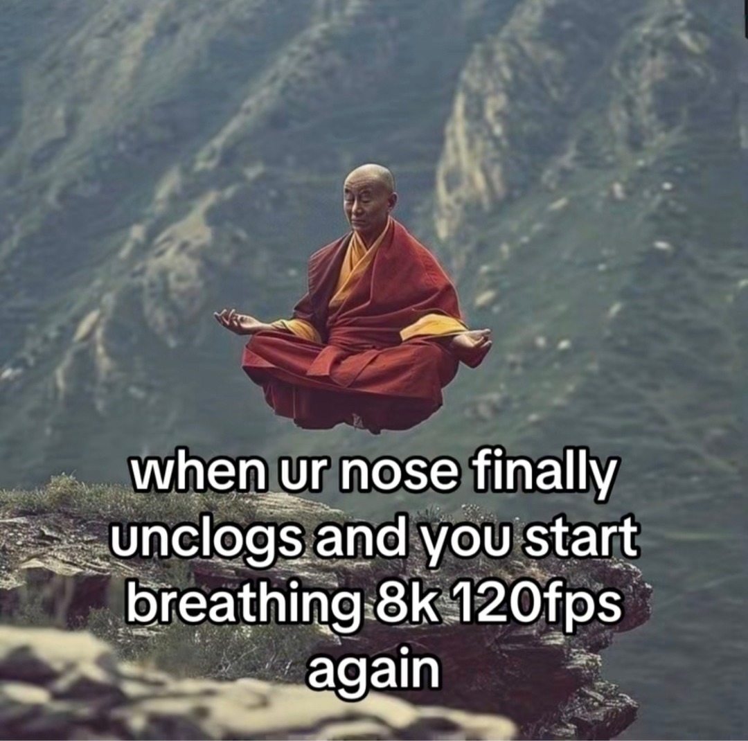 when ur nose finally unclogs and you start breathing 8k 120fps again