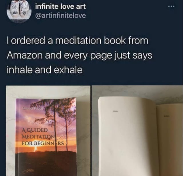 I ordered a meditation book from Amazon and every page just says inhale and exhale. The book is titled 'A Guided Meditation for Beginners' by David Ploot. The open pages show the words 'inhale' and 'exhale'.
