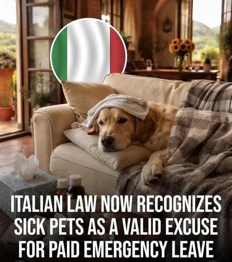 ITALIAN LAW NOW RECOGNIZES SICK PETS AS A VALID EXCUSE FOR PAID EMERGENCY LEAVE