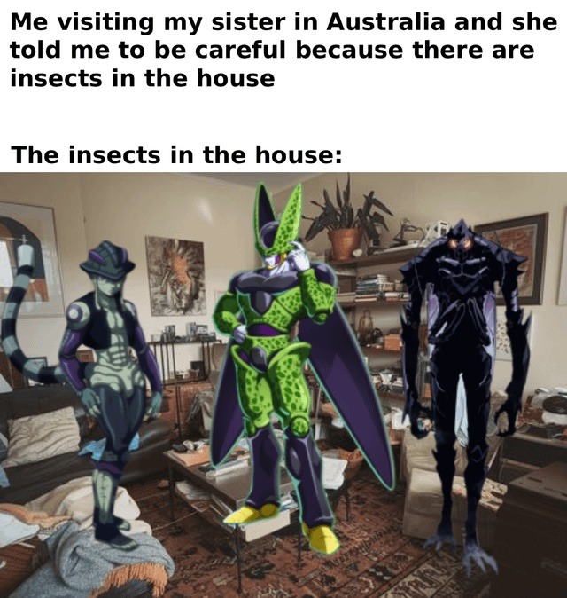 Me visiting my sister in Australia and she told me to be careful because there are insects in the house. The insects in the house:
