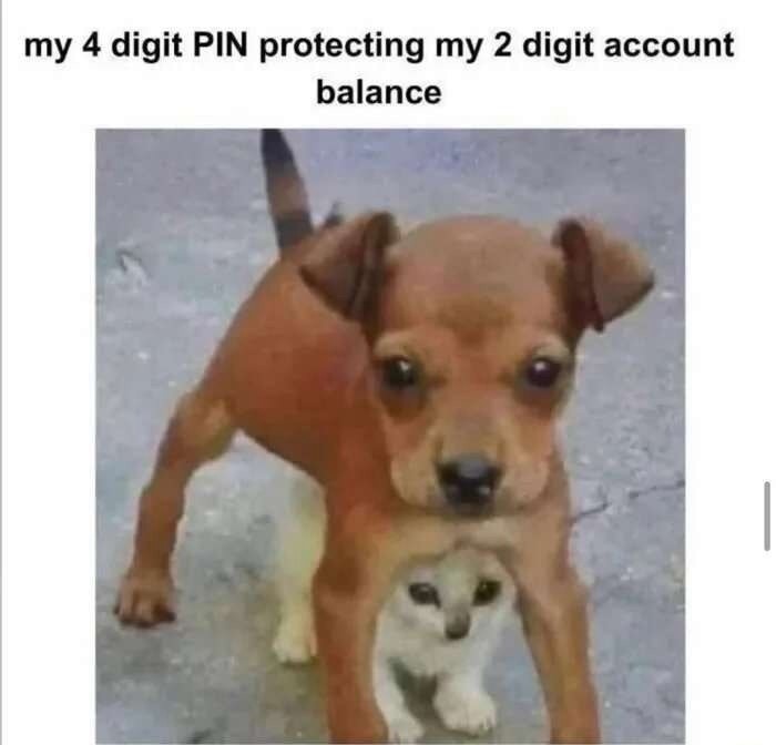 my 4 digit PIN protecting my 2 digit account balance