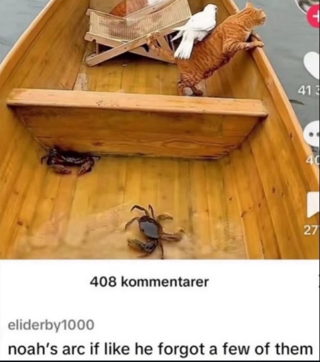 noah's arc if like he forgot a few of them