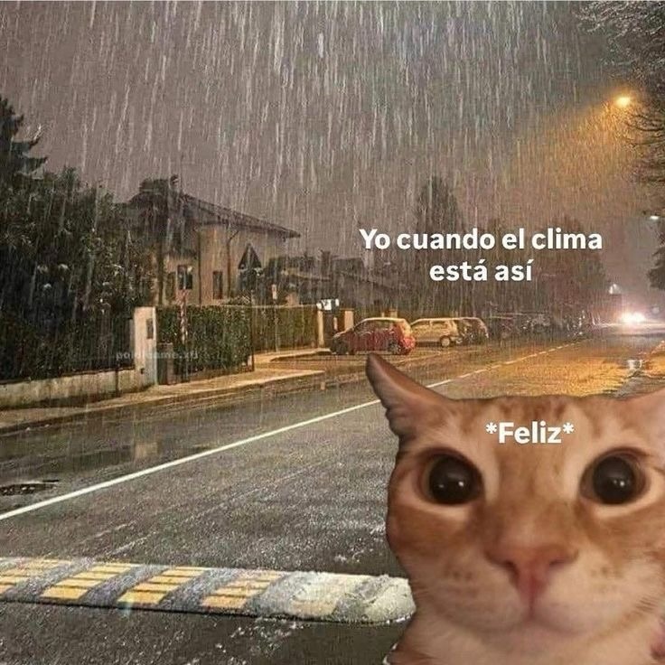 Yo cuando el clima está así *Feliz*