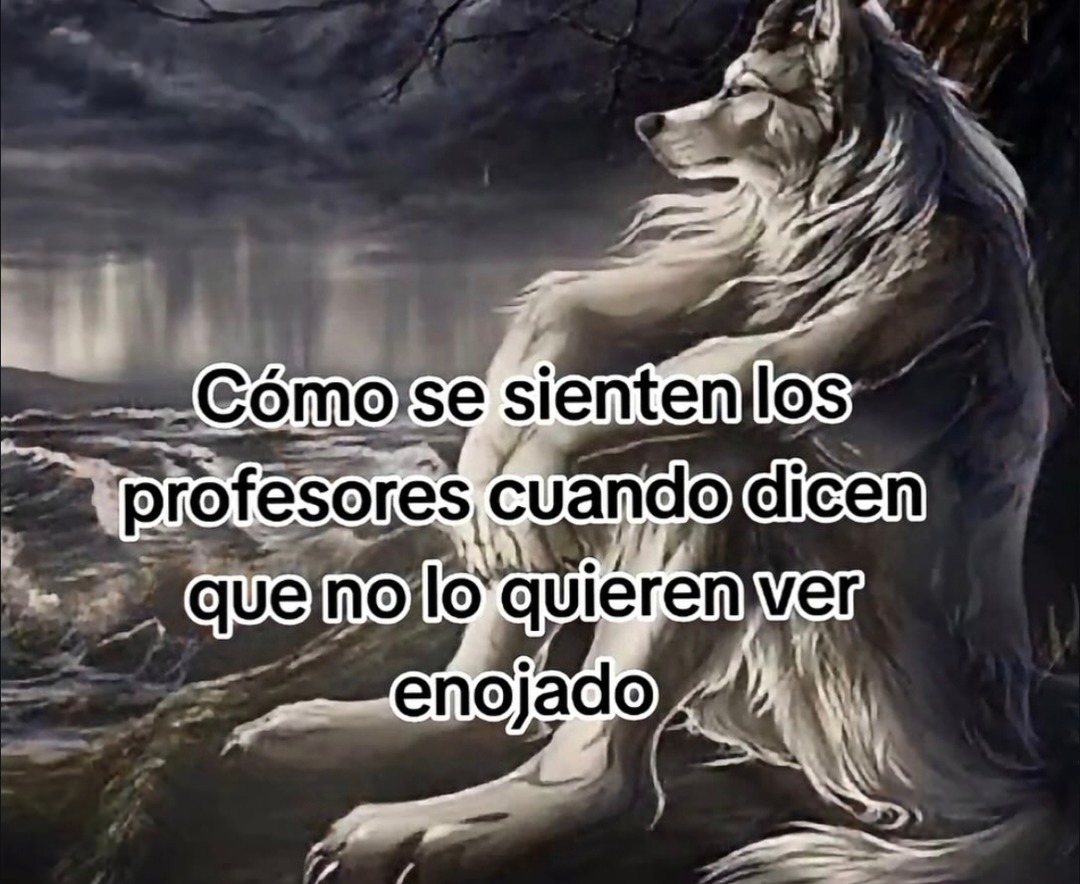 Cómo se sienten los profesores cuando dicen que no lo quieren ver enojado