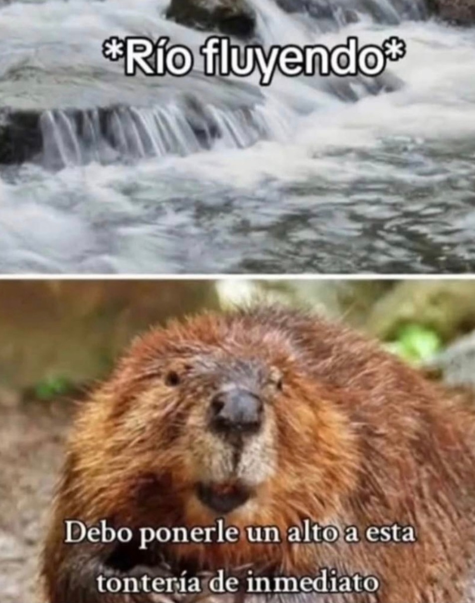 *Río fluyendo* Debo ponerle un alto a esta tontería de inmediato