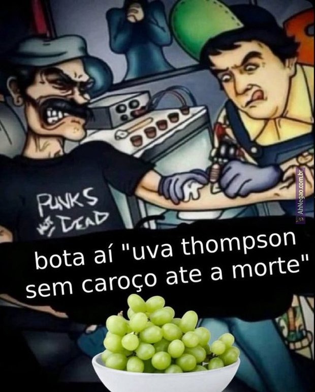 PUNKS NOT DEAD bota aí 