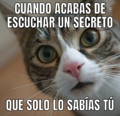 CUANDO ACABAS DE ESCUCHAR UN SECRETO QUE SOLO LO SABÍAS TÚ