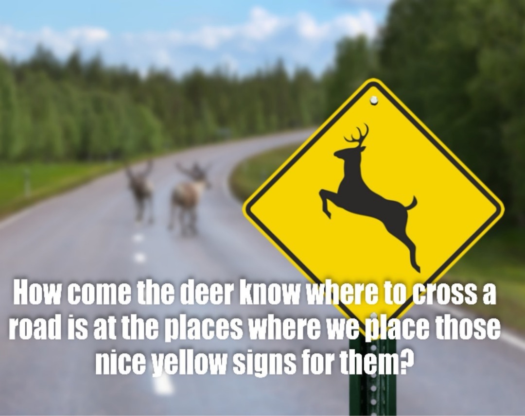 How come the deer know where to cross a road is at the places where we place those nice yellow signs for them?