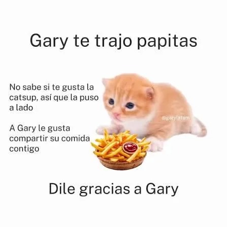 Gary te trajo papitas. No sabe si te gusta la catsup, así que la puso a lado. A Gary le gusta compartir su comida contigo. Dile gracias a Gary.