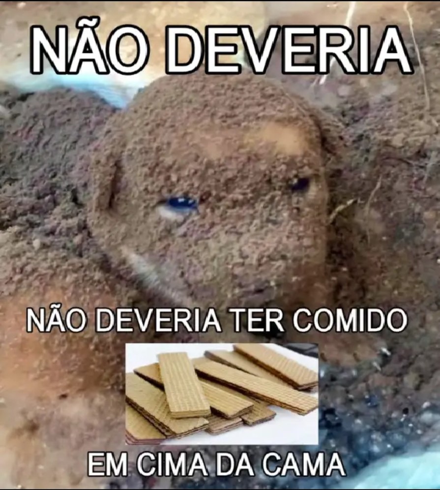 NÃO DEVERIA NÃO DEVERIA TER COMIDO EM CIMA DA CAMA