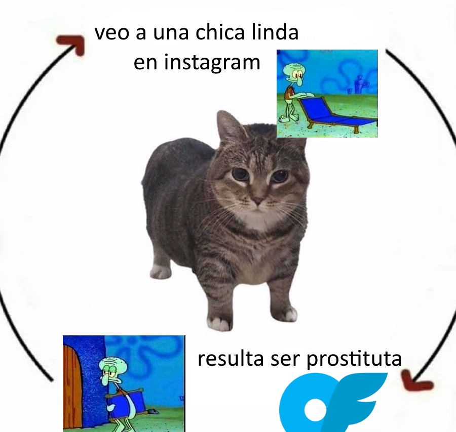 veo a una chica linda en instagram resulta ser prostituta
