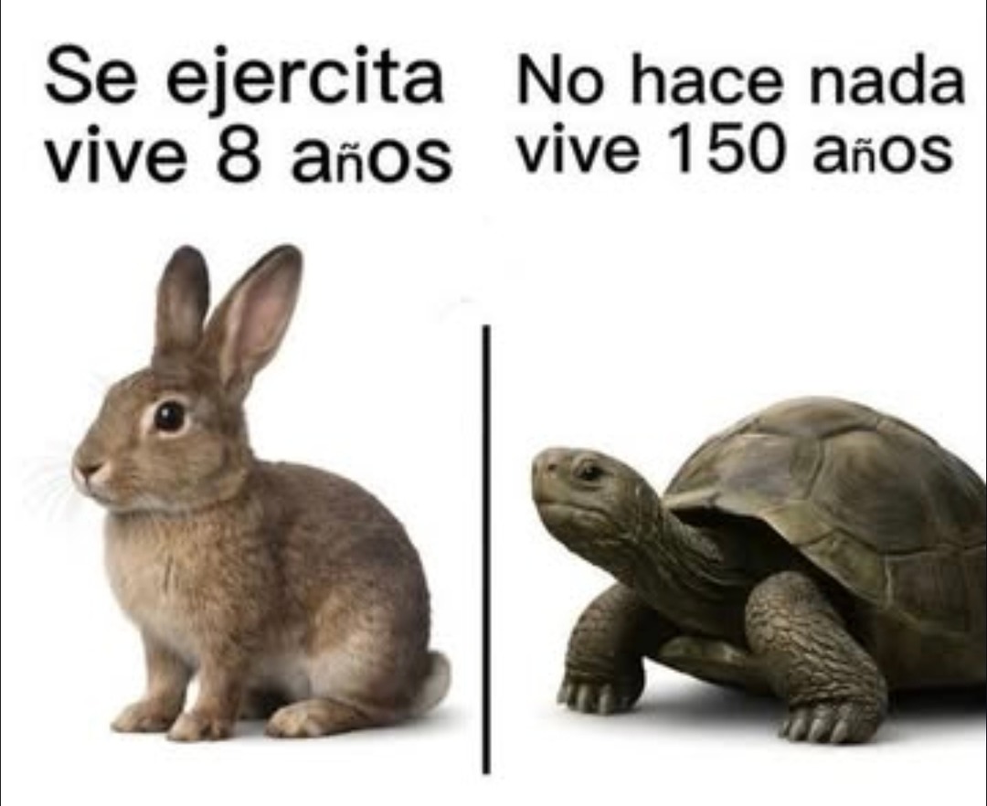 Se ejercita vive 8 años No hace nada vive 150 años