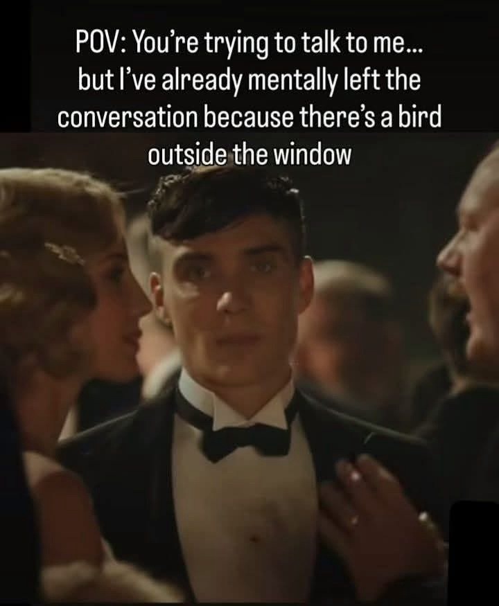 POV: You're trying to talk to me... but I've already mentally left the conversation because there's a bird outside the window
