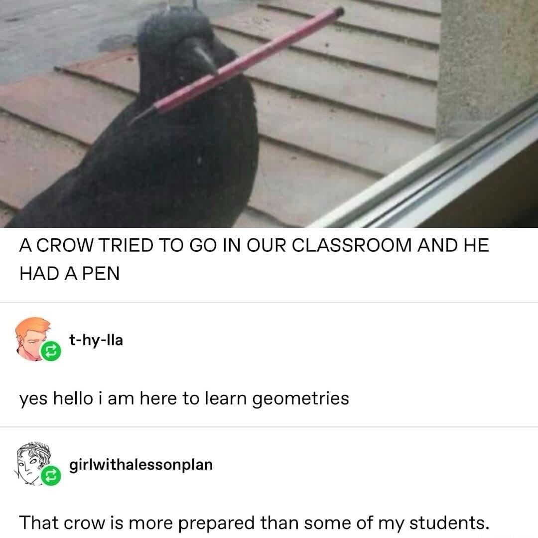 A crow tried to go in our classroom and he had a pen. Yes hello I am here to learn geometries. That crow is more prepared than some of my students.
