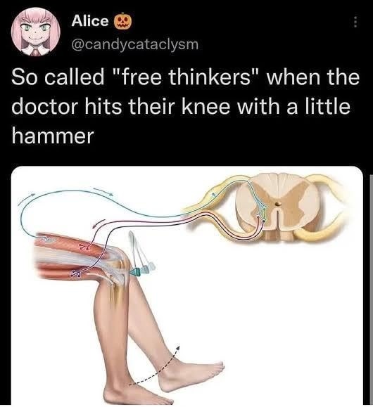 Alice @candycataclysm So called 