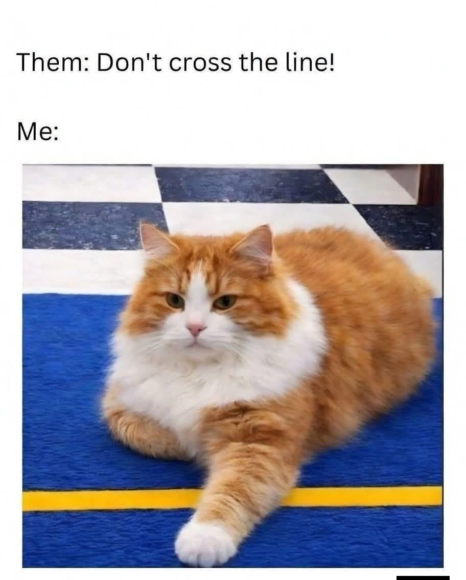 Them: Don't cross the line! Me: