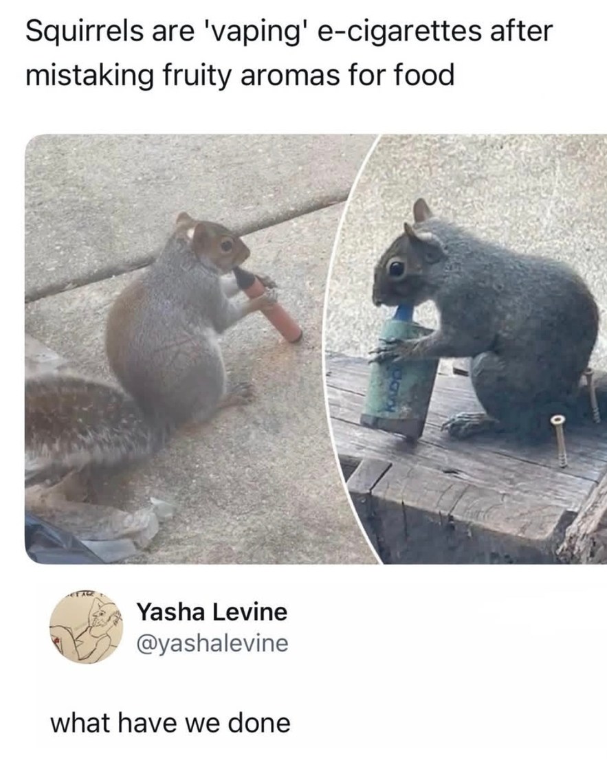 Squirrels are 'vaping' e-cigarettes after mistaking fruity aromas for food. Yasha Levine @yashalevine. what have we done