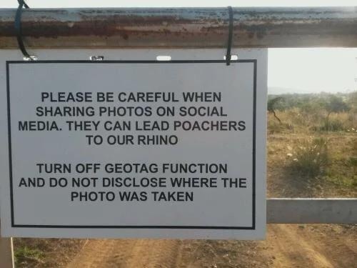 PLEASE BE CAREFUL WHEN SHARING PHOTOS ON SOCIAL MEDIA. THEY CAN LEAD POACHERS TO OUR RHINO. TURN OFF GEOTAG FUNCTION AND DO NOT DISCLOSE WHERE THE PHOTO WAS TAKEN.
