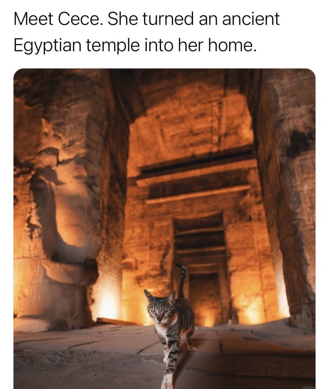 Meet Cece. She turned an ancient Egyptian temple into her home.