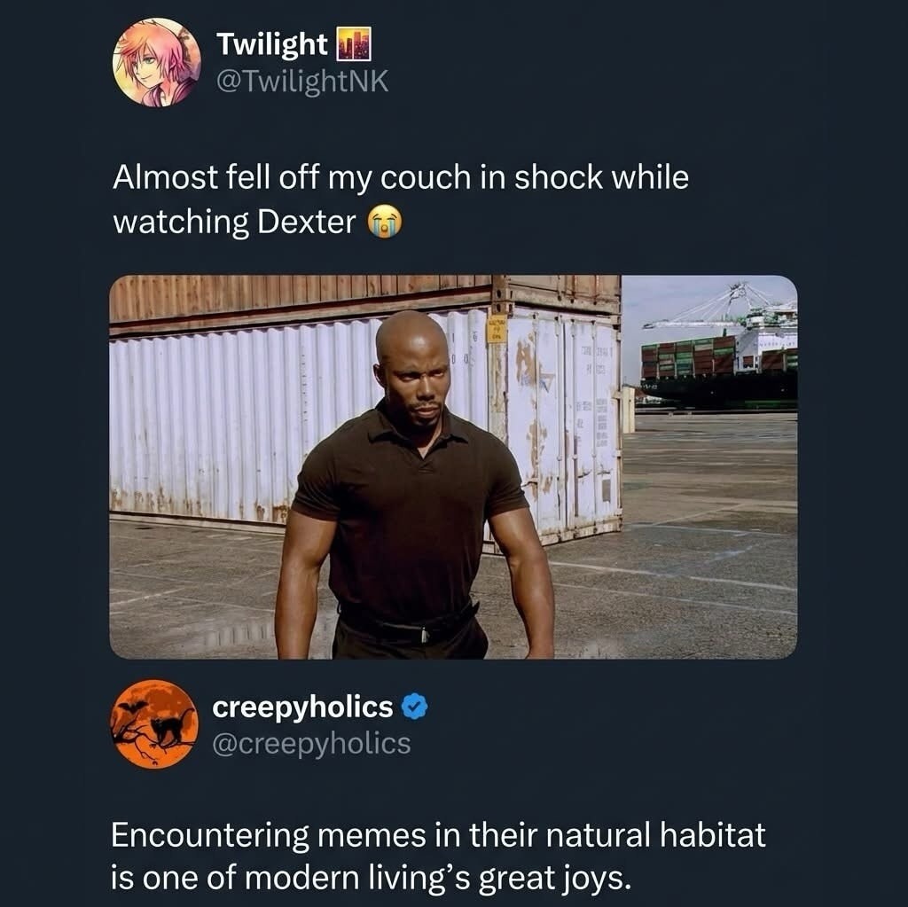 Almost fell off my couch in shock while watching Dexter. Encountering memes in their natural habitat is one of modern living's great joys.