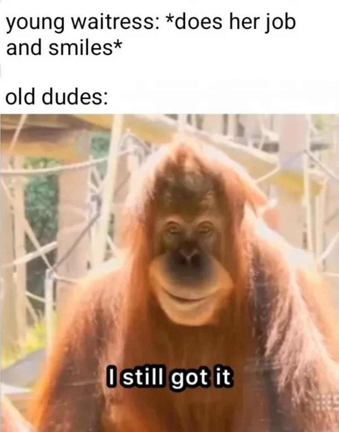 young waitress: *does her job and smiles* old dudes: I still got it