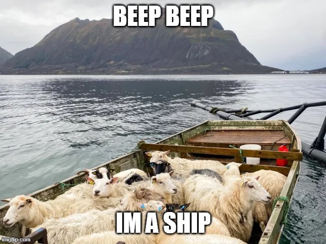 BEEP BEEP IMA SHIP