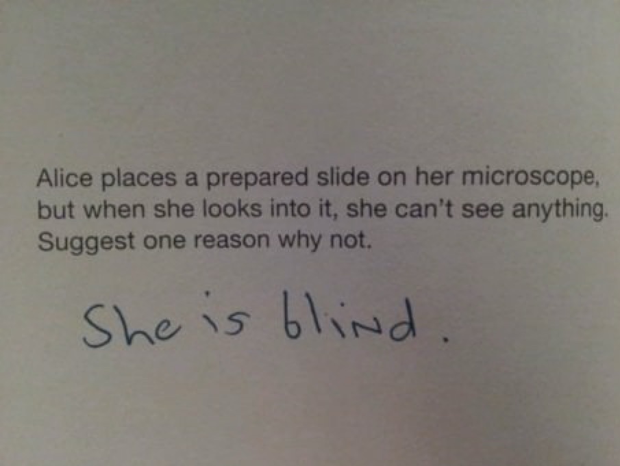 Alice places a prepared slide on her microscope, but when she looks into it, she can't see anything. Suggest one reason why not. She is blind.