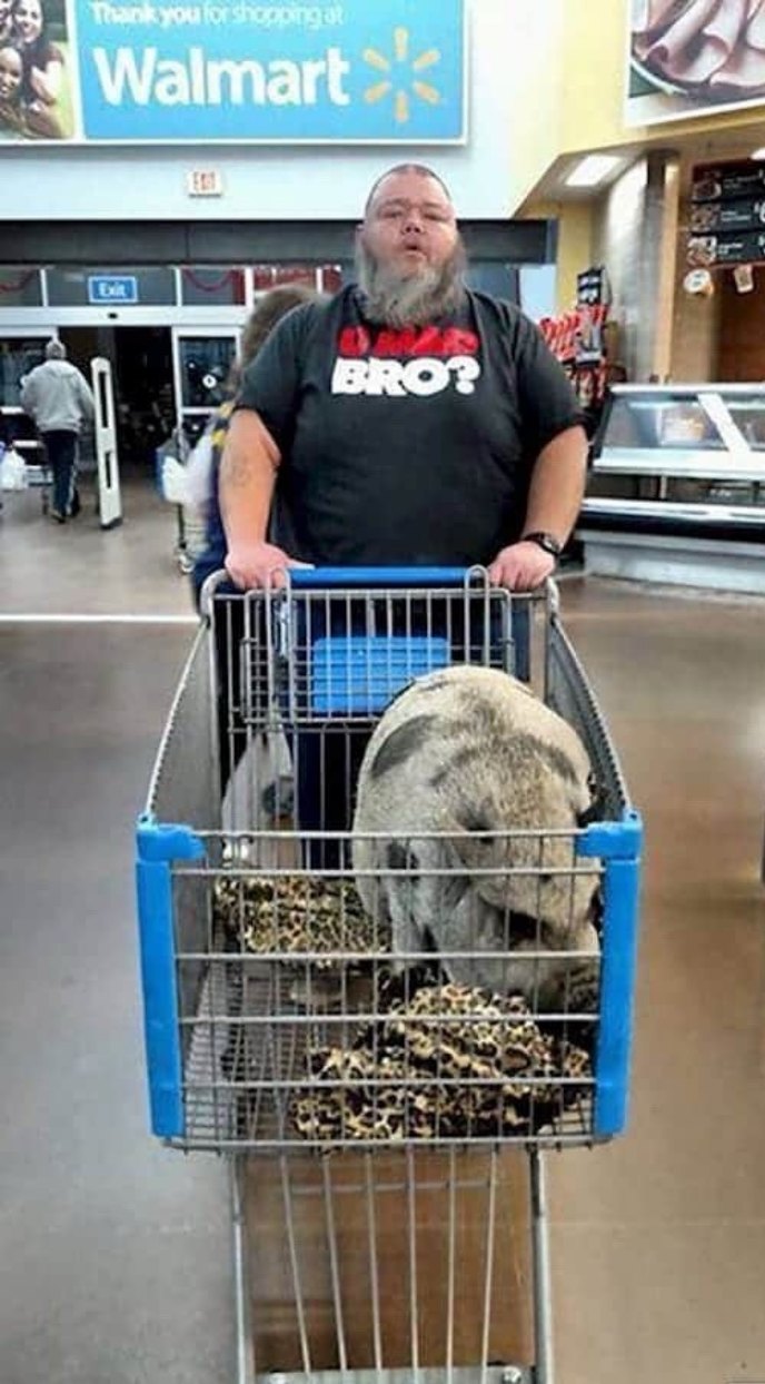 Thank you for shopping at Walmart. BRO? Exit.